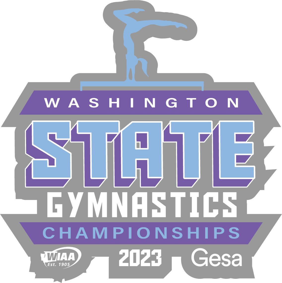 Pin - WIAA 2023-2024 State Championships