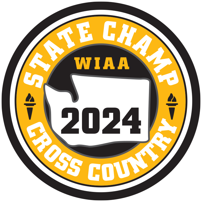 CHAMP Patch - WIAA 2024-2025 State Championships - Gold/Black