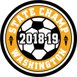 WIAA 2018-19 State Champion Soccer Patch