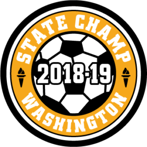 WIAA 2018-2019 State Champion Soccer Patch
