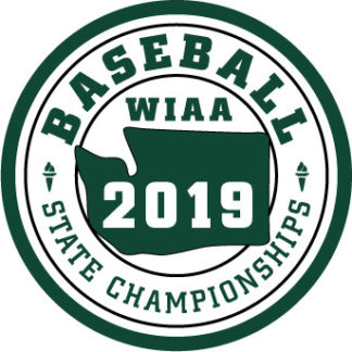 WIAA 2019 State Baseball Patch