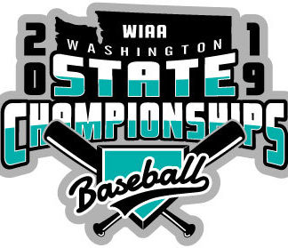 WIAA 2019 State Baseball Pin