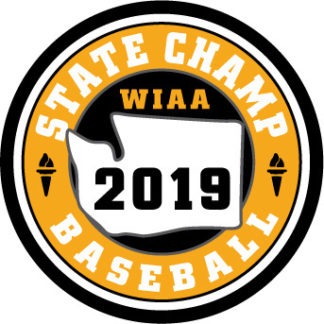 WIAA 2019 State Champion Baseball Patch