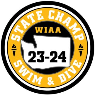 2023 WIAA State Swim n Dive Letterman Patch Gold
