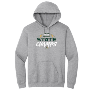 1B CHAMPS DeSales - Hoodie - WIAA 2025 State Football - Sport Grey